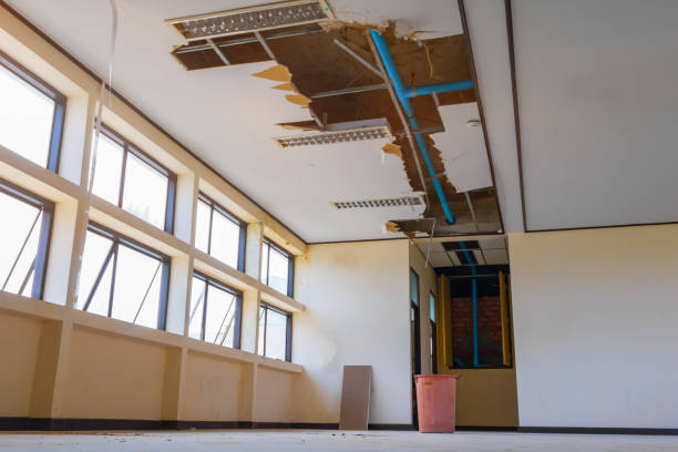 Best Flood damage cleanup  in Glencoe, AL