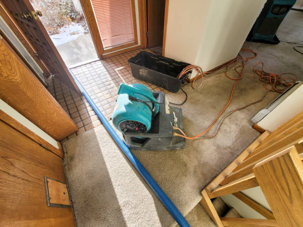 Best Water damage restoration services  in Glencoe, AL