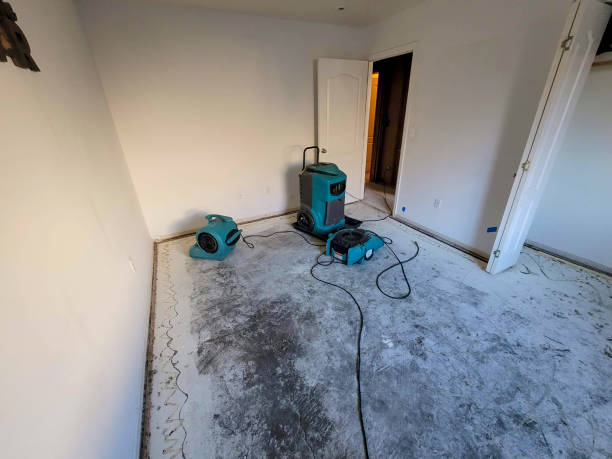 Best Carpet water damage restoration  in Glencoe, AL
