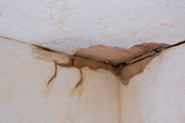 Best Residential water damage restoration  in Glencoe, AL
