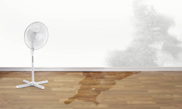 Best Fire Damage Restoration  in Glencoe, AL