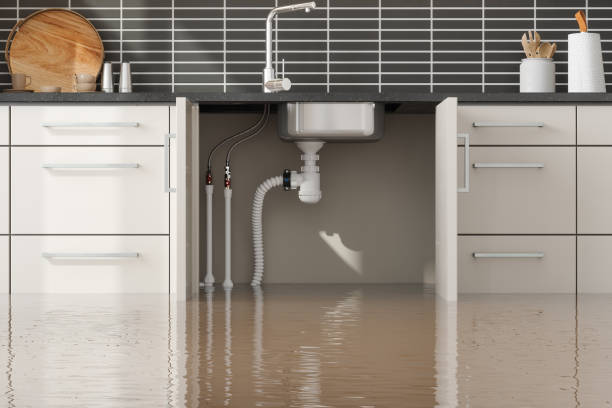 Best Water damage restoration near me  in Glencoe, AL