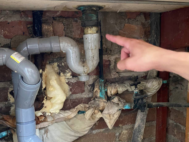 Best Ceiling water damage repair  in Glencoe, AL
