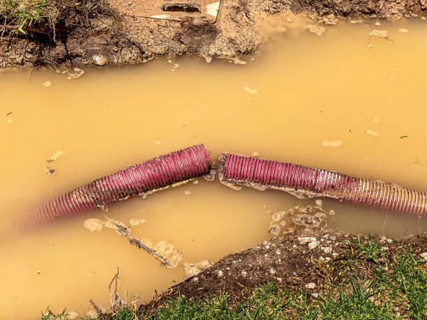 Local water damage restoration in AL