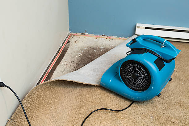 Best 24-hour water damage restoration  in Glencoe, AL